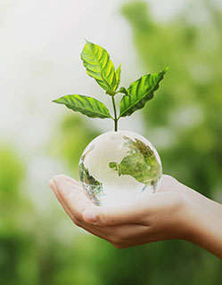 Plataforma de gestión de huella de carbono
